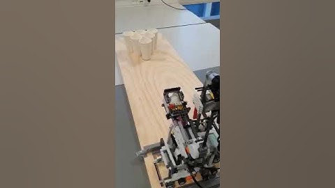 Beer Pong Robot