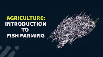 Introduction to Fish Farming in Agriculture