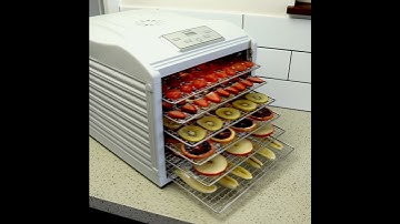 Most reliable food Dehydrator