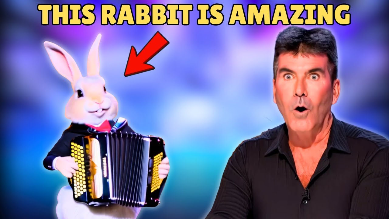 Simon Can’t Believe His Eyes! Watch This Rabbit's Incredible Talent ...