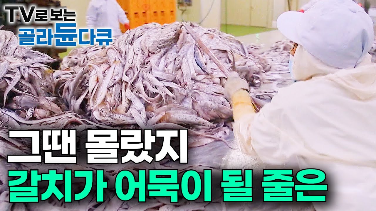 잡어는 안 보이고 값비싼 갈치만 수북. 모두가 놀란 국내산 갈치로 어묵 만드는 과정｜겨울 간식 만두 공장｜극한직업｜#골라듄다큐