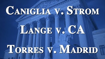 Term Talk (2020-2021): Caniglia v. Strom, Lange v. CA, Torres v. Madrid