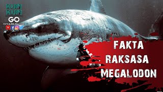 5 Fakta Menakutkan Raksasa Megalodon