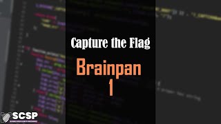 Brainpan 1 - Walkthrough (Buffer overflow)