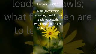 One Drink Can Cost You More Than You Think 🍷⚠️ (Proverbs 20:1) #god #jesus #faith #proverbs #lesson