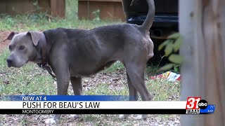 Animal advocates rally for statewide dog protection law