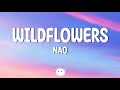 Nao Wildflowers Lyrics 