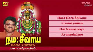 Hara Hara Shivane Sivamayamanom Namasivayaarunachalane Lord Shiva Song Spb Tamil Bakthi Songs