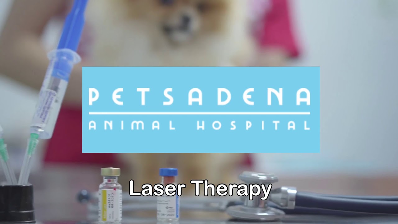 Laser Therapy Services