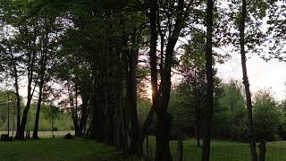Today's Devotion 4.15.26 Developing Patience 