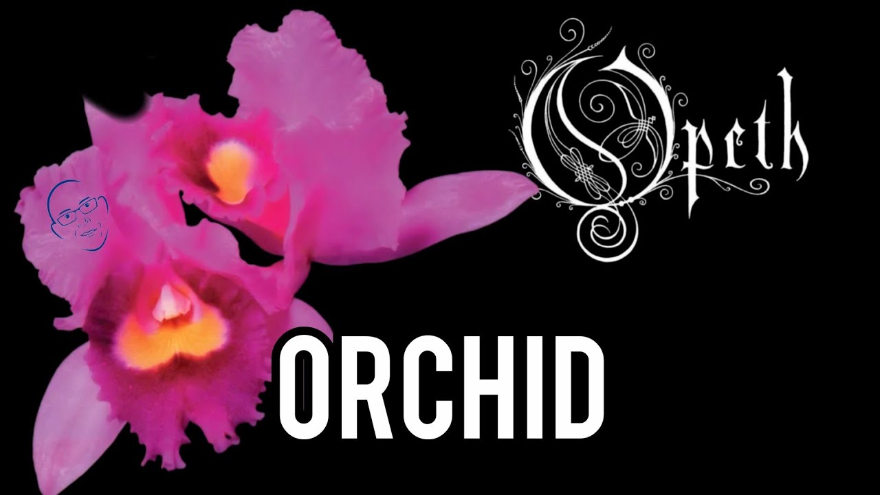 GUITAR TEACHER REACTS to Opeth's "Orchid" Full Album