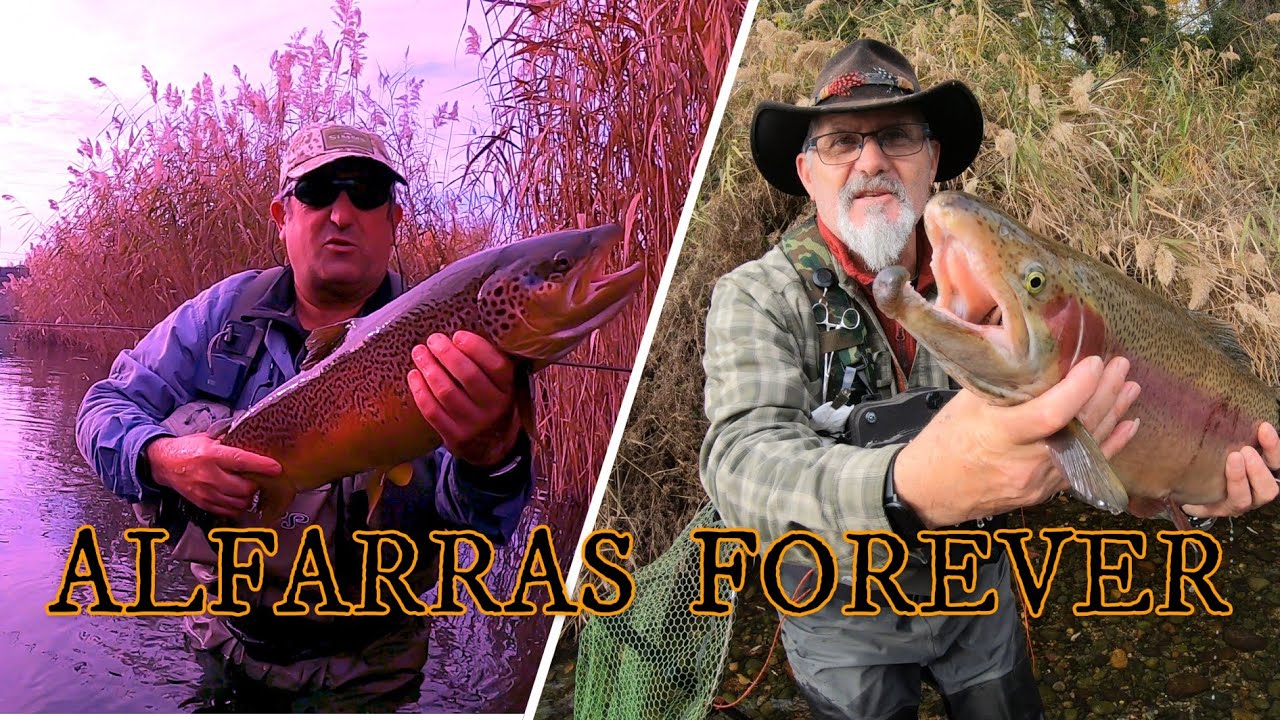 MIRA TODAS LAS TRUCHAS QUE PUEDES SACAR EN ALFARRAS NO TE LO PIERDAS QUE NO TE NLO CUENTEN