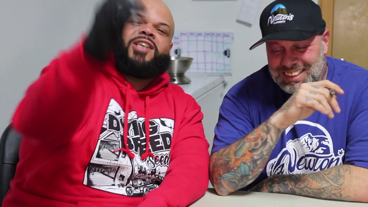 Exotic Commission: Trim Session with Jasper Newton part 2