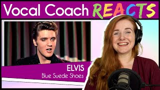 Vocal Coach reacts to Elvis - Blue Suede Shoes (1956)