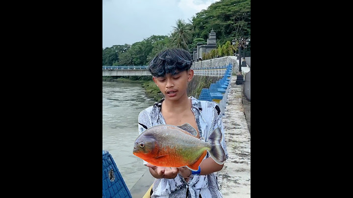 Entul GWSM dikasih tahu Riko Y2K Crew 🎣 soal spot mancing yang OK banget! 😄🐟🪝