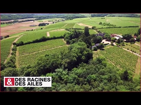 Touraine : la viticulture à l'ancienne !