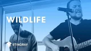 Video thumbnail of "Wildlife - Lightening Tent (Live Session)"