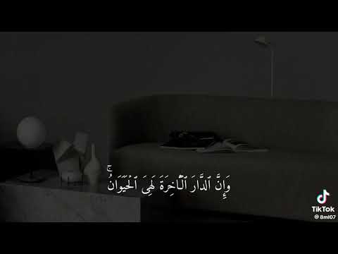 قل الحمدلله بل اكثرهم لا يعقلون