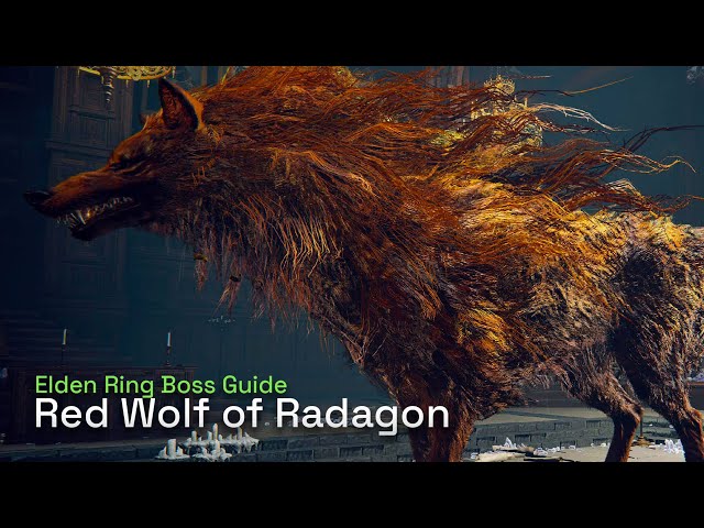 Elden Ring Red Wolf of Radagon tips and strategy