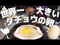 【UUUMキャンプ部】世界一大きいダチョウの卵を焼いて食べる!