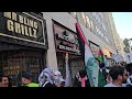 FREE Palestine 🇵🇸 DTLA Protest