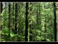 Faun - Egil Saga (Lyrics)
