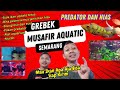 Ikan Selalu Update, Bisa Ecer Grosir &amp; Pesan Apa Saja (Musafir Aquatic Semarang)