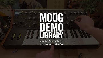 Subsequent 37 | Looping Envelopes