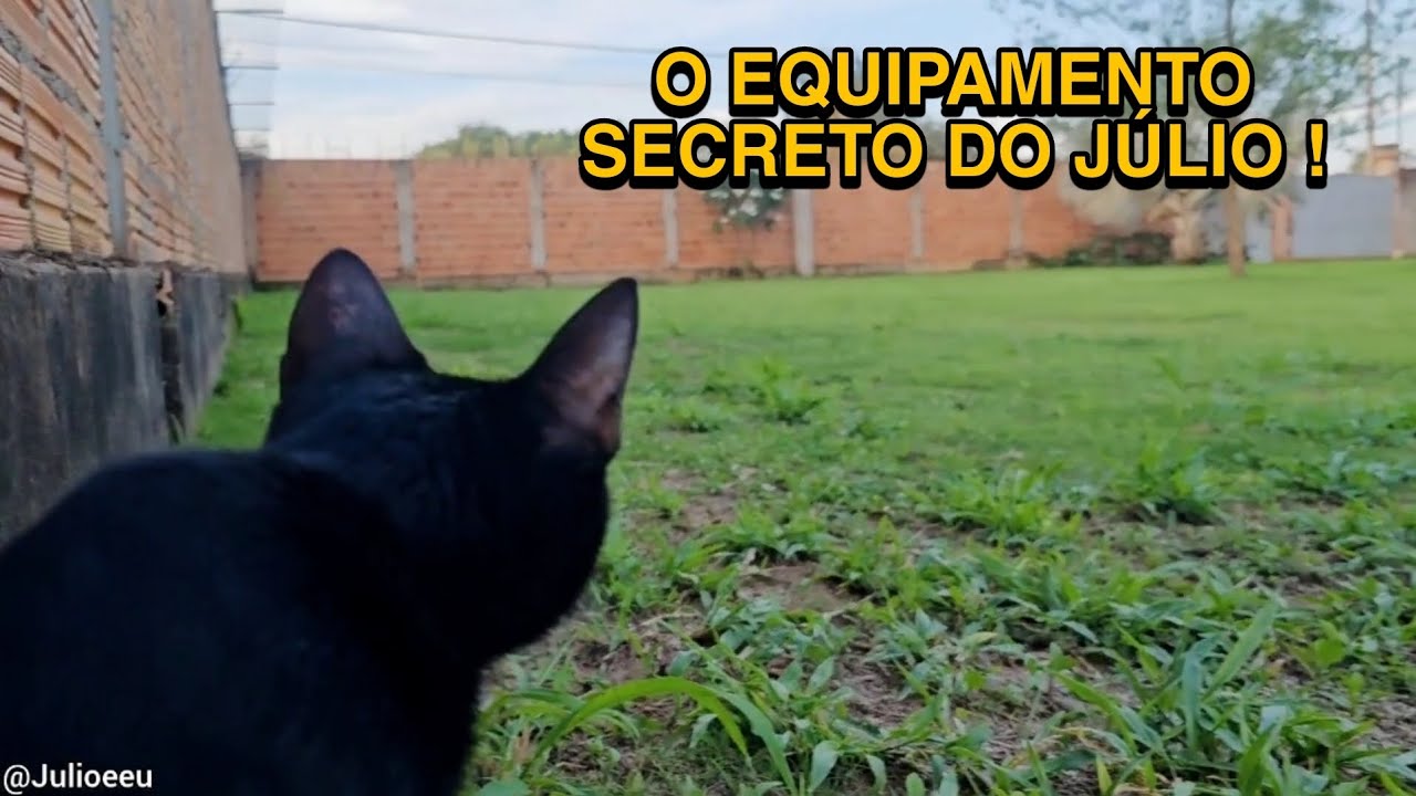 Eles estão cada dia mais preparados !! 😱