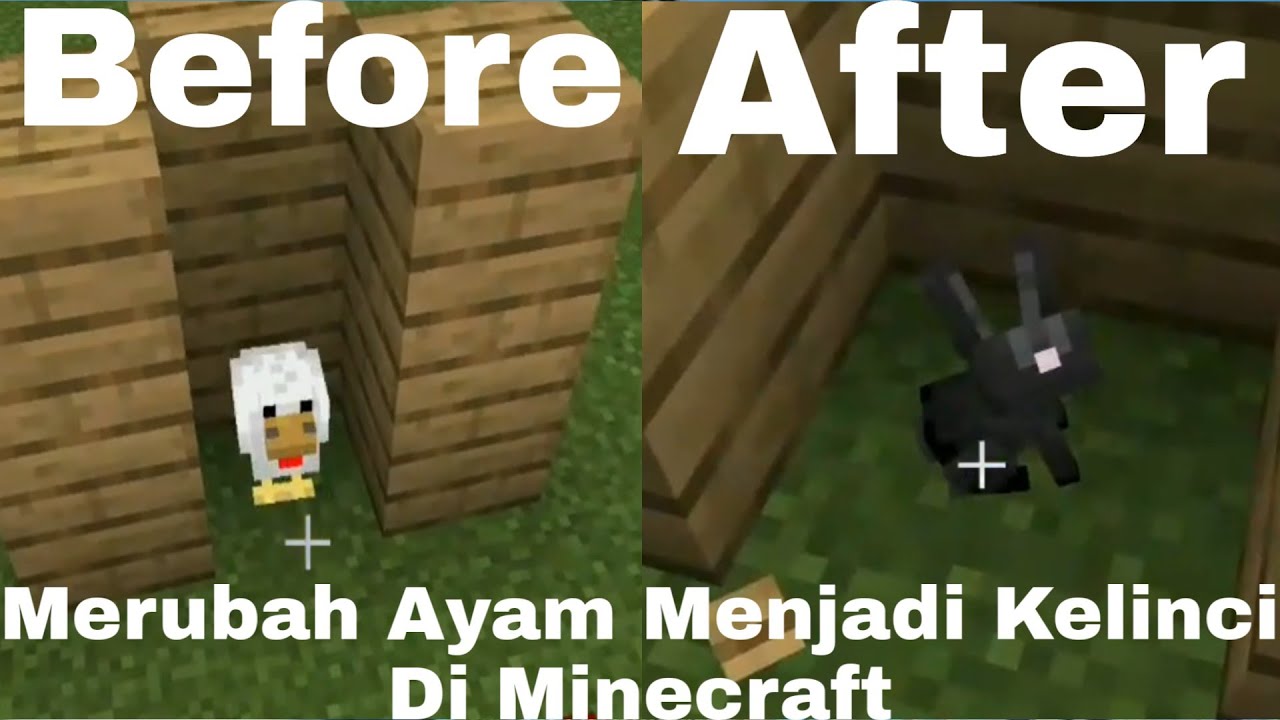 Minecraft Tutorial - Mengubah Ayam Menjadi Kelinci 