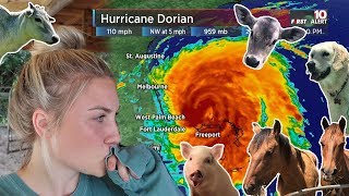 WE ARE READY! Preparing For HURRICANE DORIAN WITH ALL MY PETS!