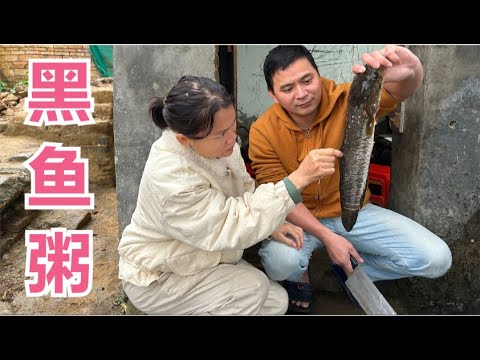 农村宝妈怀4胎中说想吃鱼了 老公立马就安排了鲜甜可口的黑鱼粥【广西一帆妈妈】