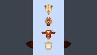 OLX Pakistan - Livestock Business Package