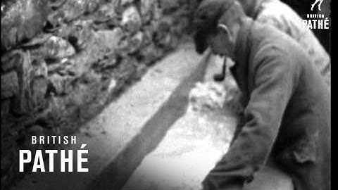 Sheep Dipping (1930-1939)