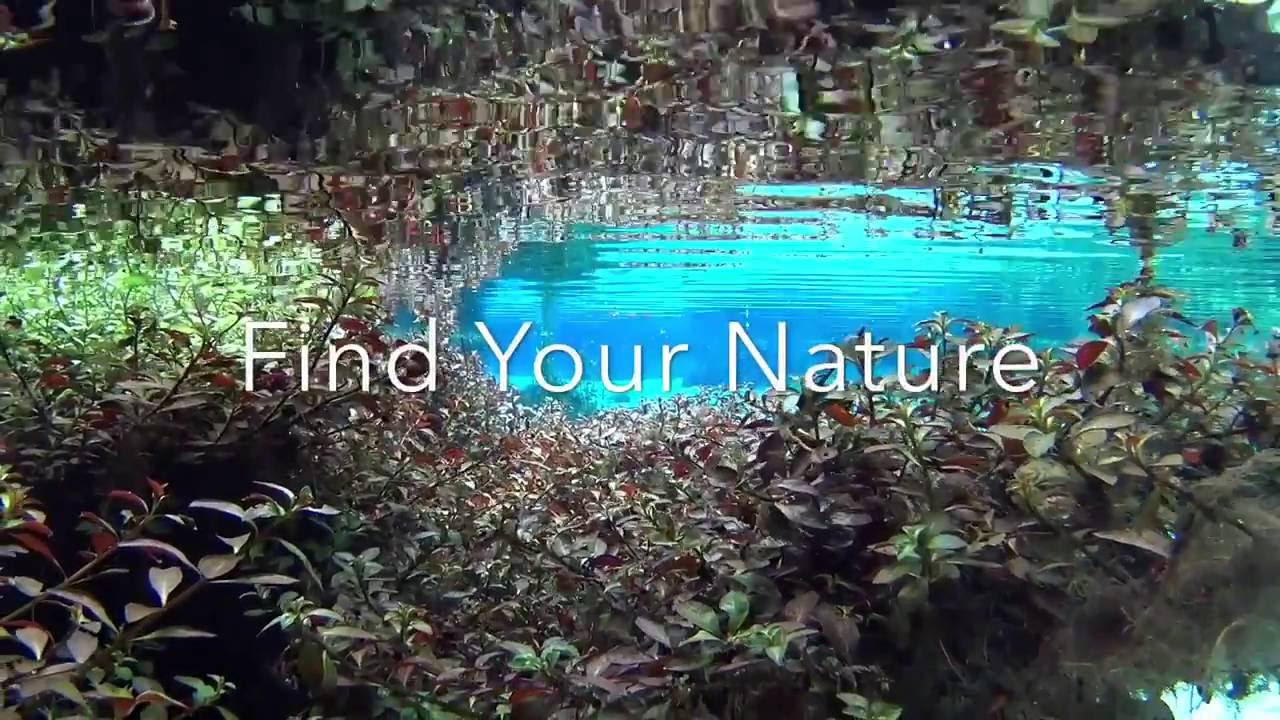 Relaxing Underwater Spring Run Meditation ~ Find Your Nature