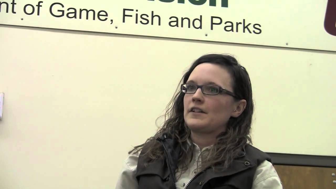 video phone lyrics SD GFP discusses possible Oahe Atlantic Salmon Stocking