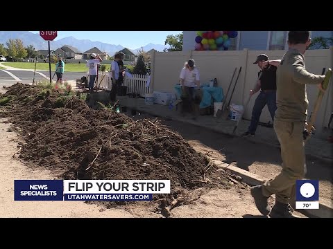 Video: Officials flip the parking strips of four Salt Lake County homes