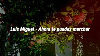 Luis Miguel - Ahora te puedes marchar (letra)