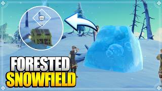 Forested Snowfield | World Quests & Puzzles【Genshin Impact】