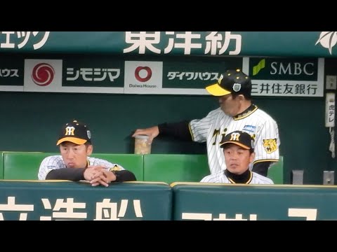 【戦闘準備万端や！】とんでもない量のパインアメをストックして試合に臨む岡田監督 2023.10.31 【日本シリーズ第3戦】
