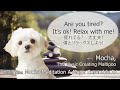 Meditation BGM Study/Work/Relax [勉強/作業/リラックスBGM] Major & Minor Combined Collection