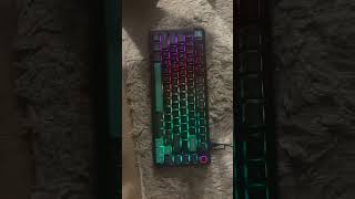 LTC Nimbleback NB832 Wireless Mechanical Keyboard