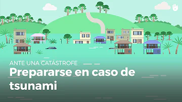 ¿Cómo prepararse para un tsunami?