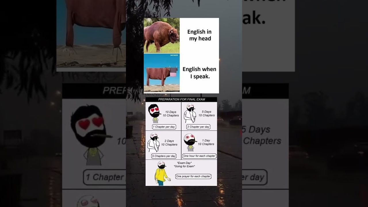 Meme Of The Day Memes