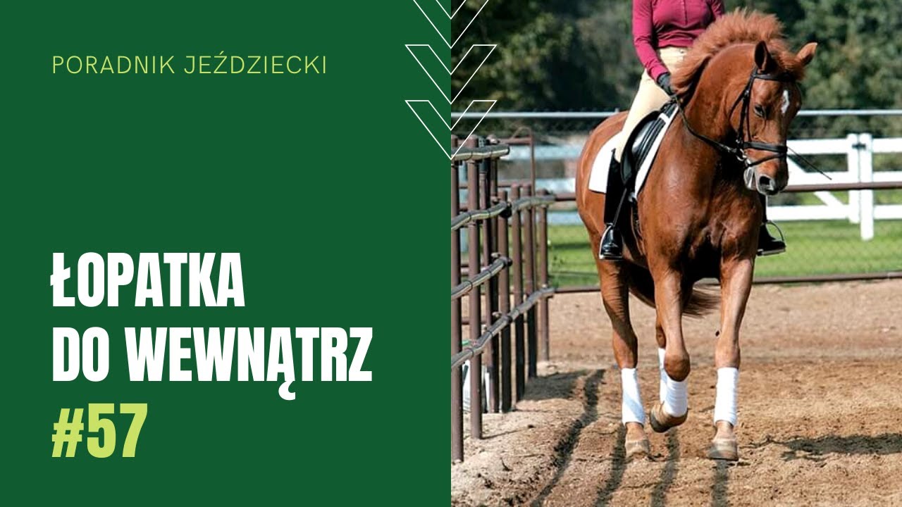 ŁOPATKA DO WEWNĄTRZ | Poradnik jeździecki #57