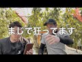 子供を狙ってきました