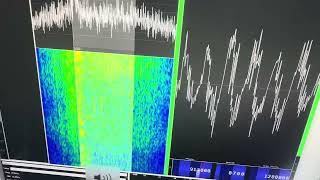 R-348 Demo with an RtL-SDR pan-adapter for WWV on 15Mhz and 20m USB ham band demo