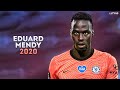 Edouard Mendy 2020 - Welcome to Chelsea | Best Saves Show | HD