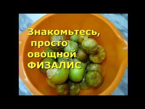 Видео: Как да разпознаем болестите на физалиса?