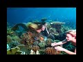 🌊 5-Min Underwater Serenity AI Calm Clip